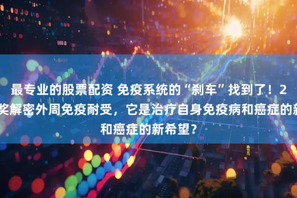 最专业的股票配资 免疫系统的“刹车”找到了！2025诺奖解密外周免疫耐受，它是治疗自身免疫病和癌症的新希望？